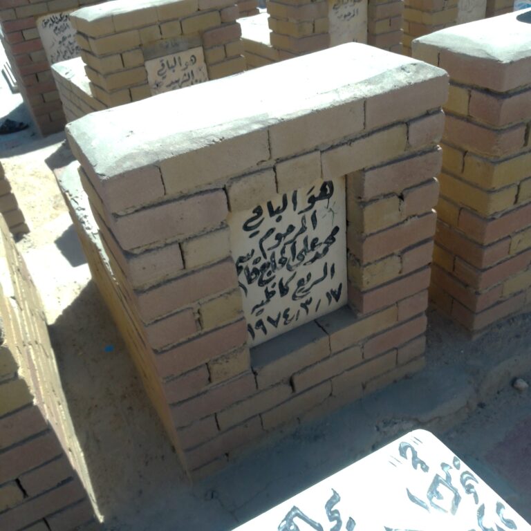 IMG ٢٠٢٤٠٤١١ ٠٩٥٧٠٦ 1 scaled 768x768