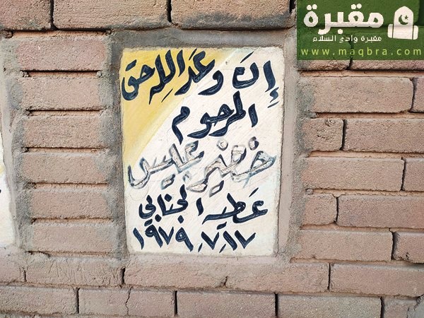 16779411972164501645260295008184