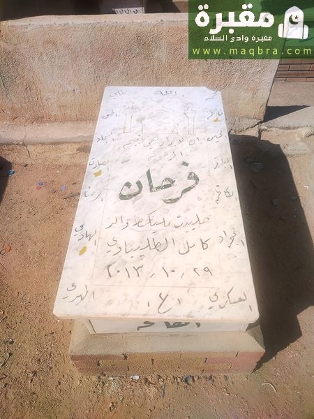 16778273922613680730539576039481