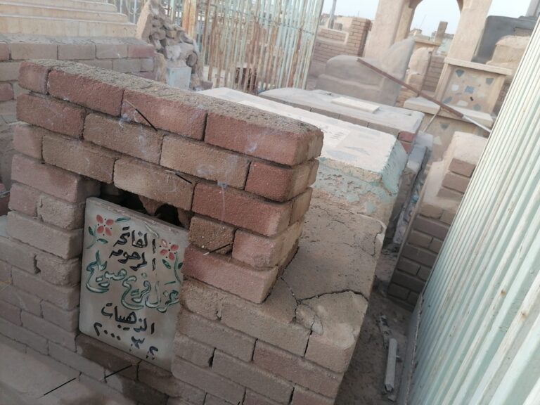 IMG 20230603 055647 scaled 768x576