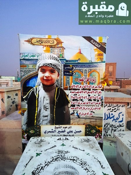 16779432337881479702294500850741 1