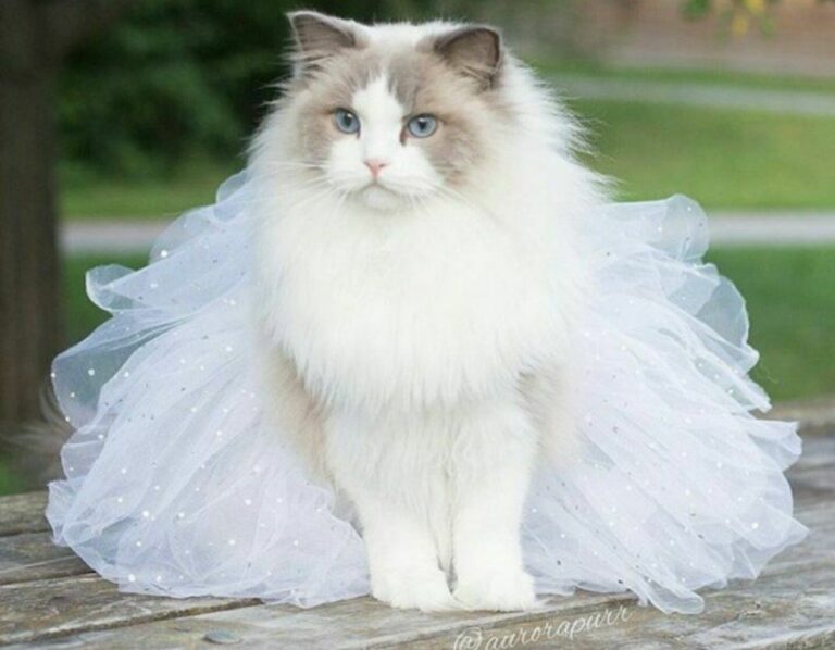 IMG 20230428 123526 159 768x598