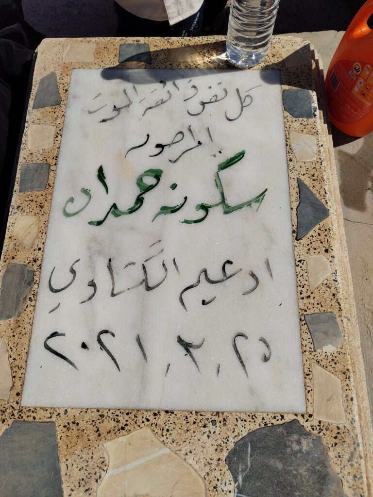 IMG 20250325 093045 768x1024