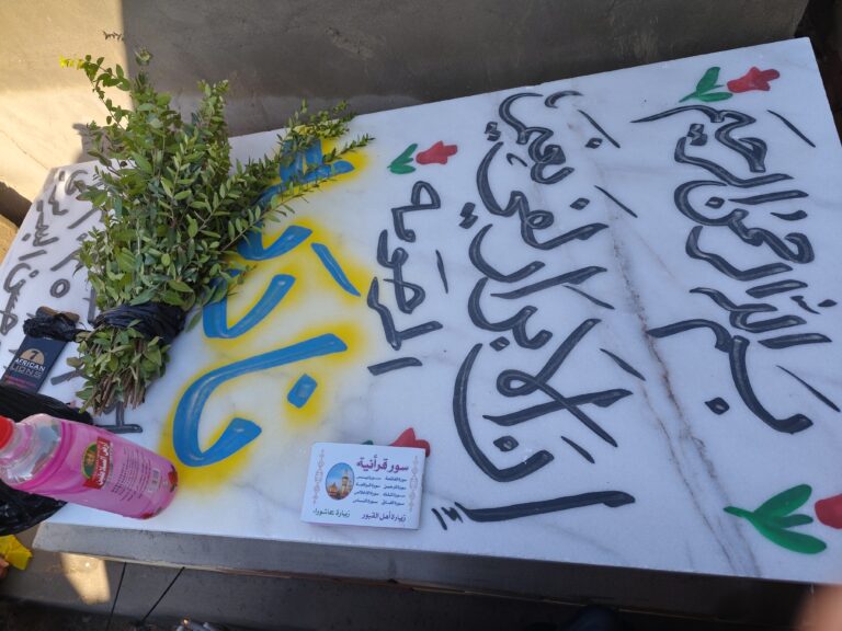 IMG 20251219 093208 1 768x576